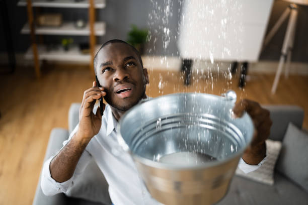 Best Flooded house restoration  in Stormstown, PA