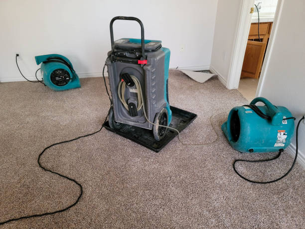 Best Local water damage restoration  in Stormstown, PA