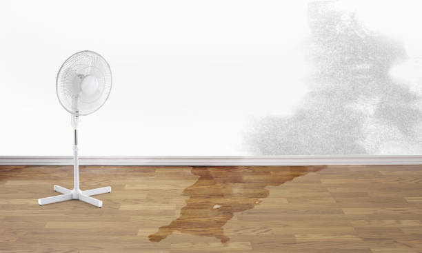 Best Water damage restoration near me  in Stormstown, PA