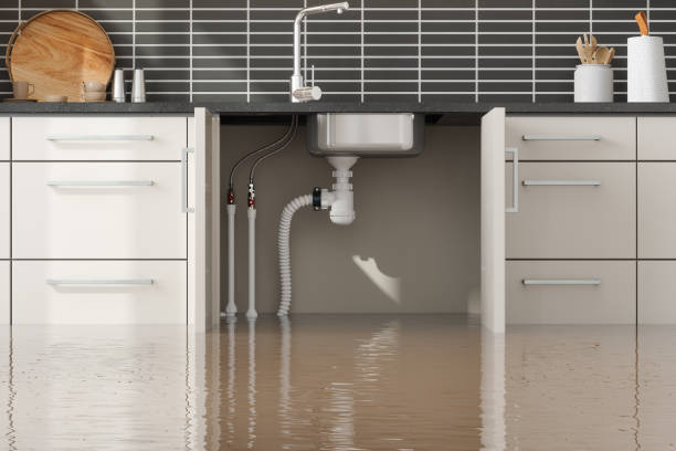 Best Water damage contractors near me  in Stormstown, PA