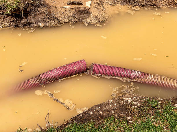 Best Basement water damage restoration  in Stormstown, PA